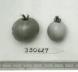 Click for 1 image(s) for this accession. FRUIT